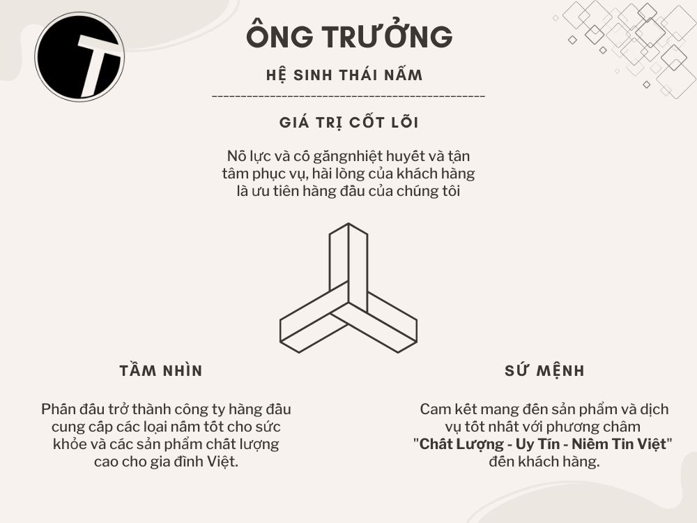 Tấm nhìn - Sứ mệnh - Giá trị cốt lõi